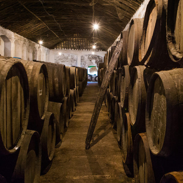 Fotografía gastronómica. DO Montilla-Moriles, vino y vinagre.